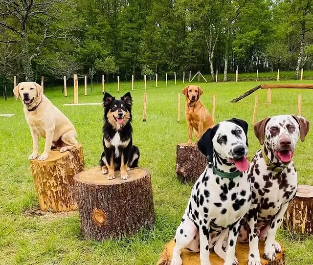 F5f734 514b91ad9f7b4437a77d20966c1d71ab mv2 1