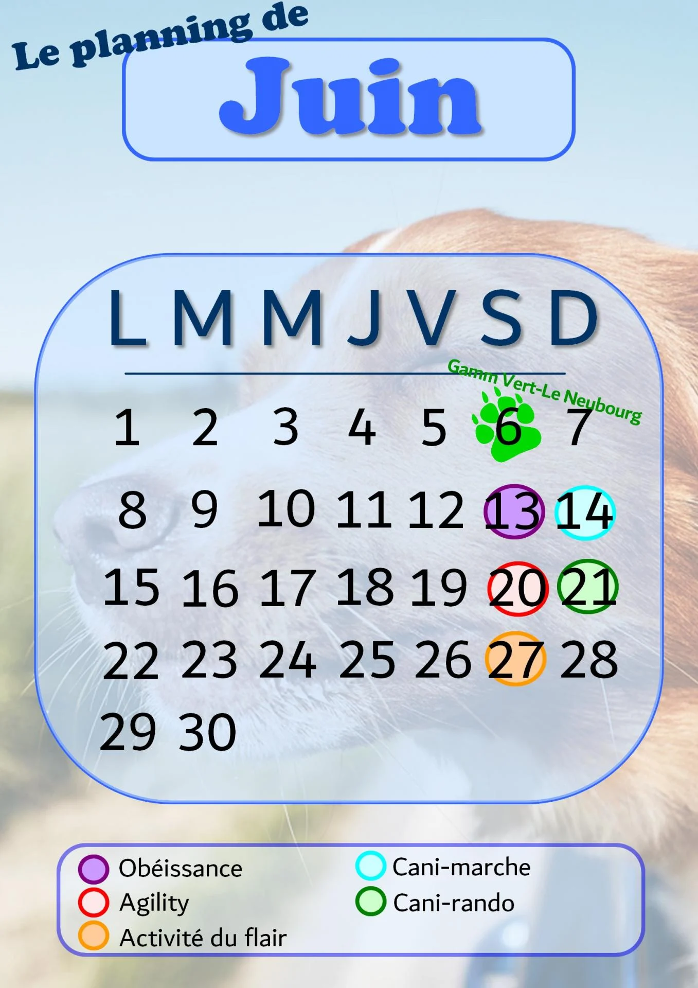 Planning juin