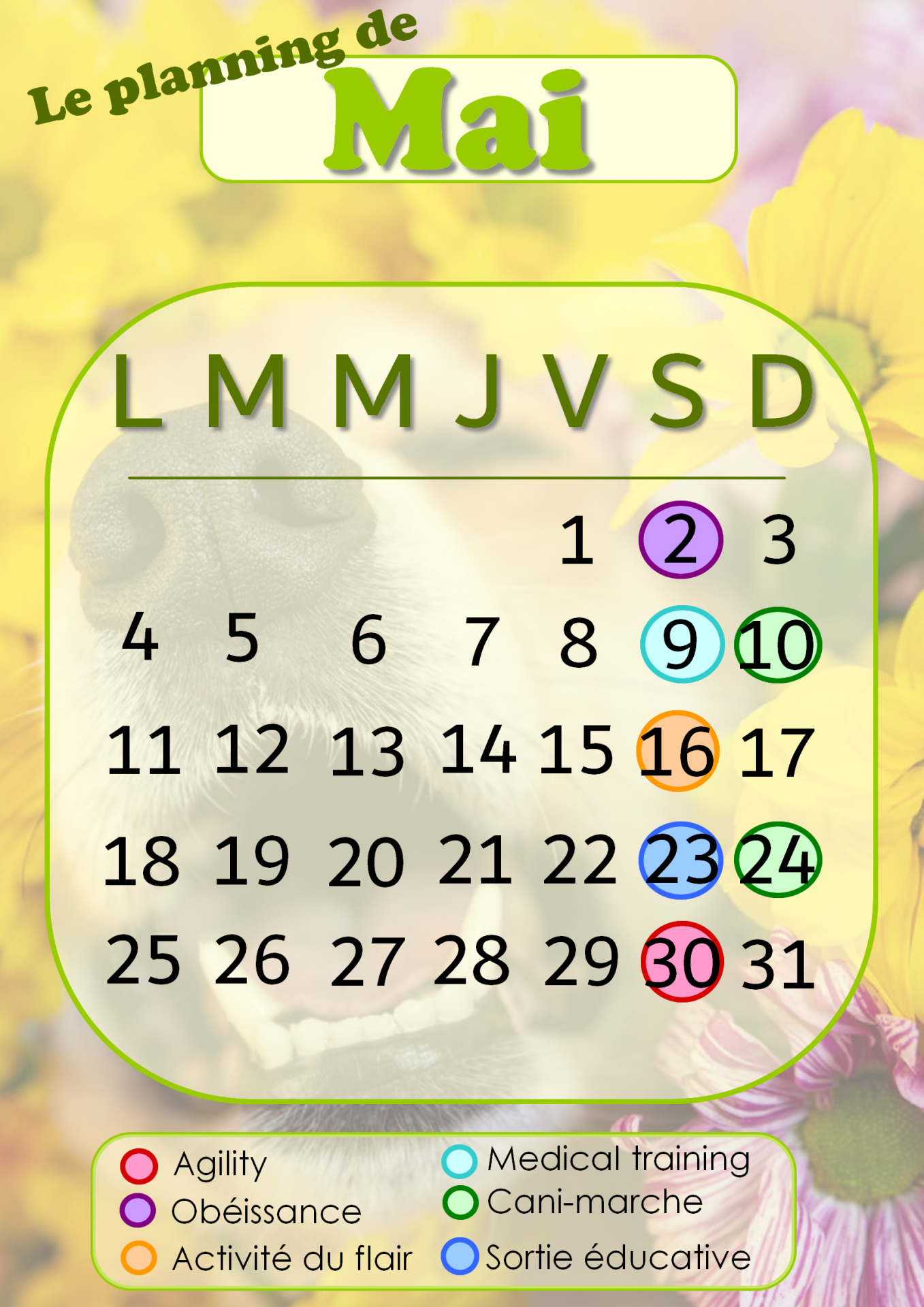 Planning mai 1